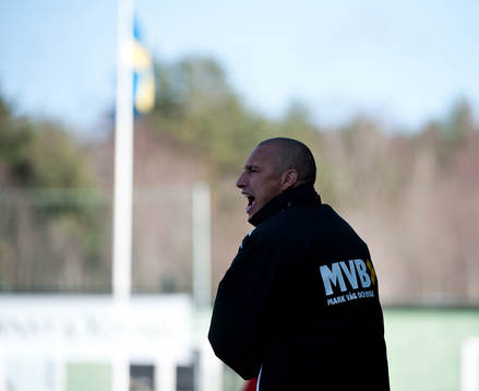 Henrik Larsson, tränare