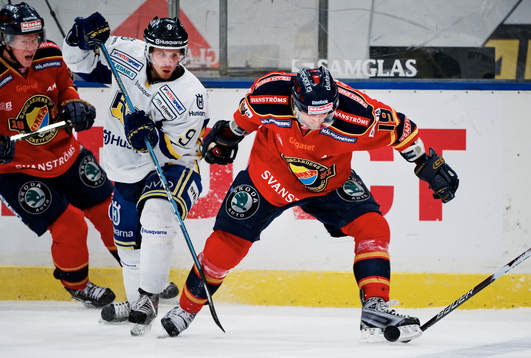 Mattias Tedenby, HV71, ser Jimmie Ölvestad, Djurgården,