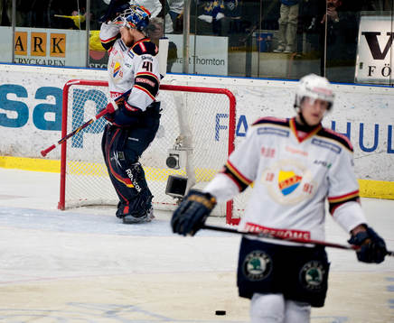 1-0 till HV71 genom David Petrasek. Depp  David Printz,