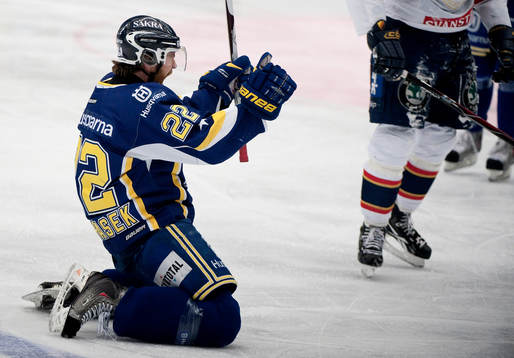 1-0 till HV71 genom David Petrasek. Jubel
