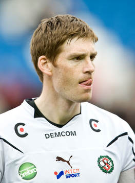 Magnus Wikström, porträtt