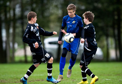 Pojkar 14 år, Asarum - Bara