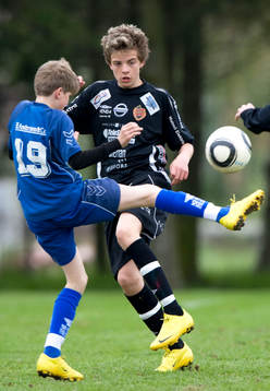 Pojkar 14 år, Asarum - Bara