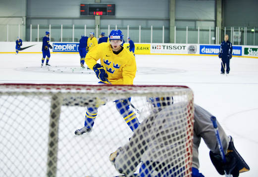 Victor Hedman