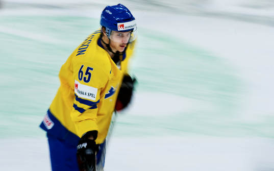 Erik Karlsson, Sverige