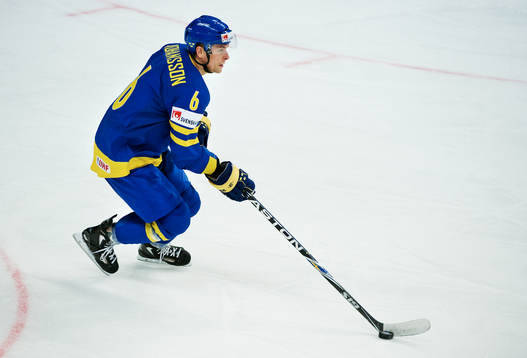 Magnus Johansson, Sverige