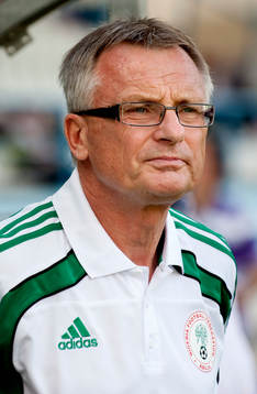 Roland Andersson, Assisterande förbundskapten Nigeria