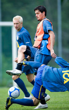 Denni Avdic, Sverige
