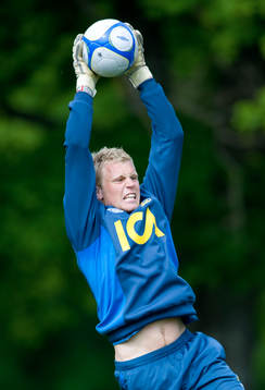 Peter Abrahamsson, Sverige