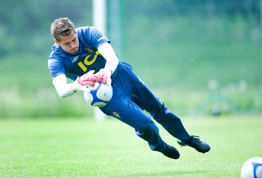 Kristoffer Nordfeldt, Sverige