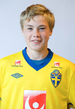 Simon Tibbling, porträtt