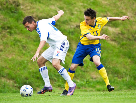 Nikola Zivanovic, Sverige