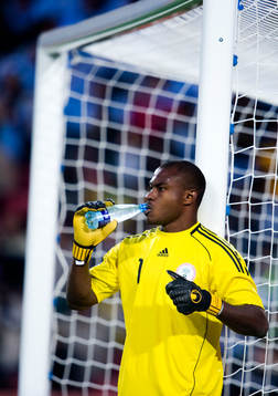 Vincent Enyeama, målvakt,  Nigeria