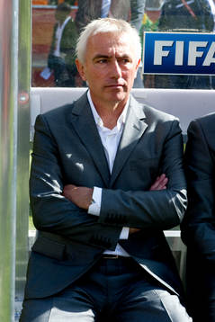 Bert Van Marwijk, Förbundskapten