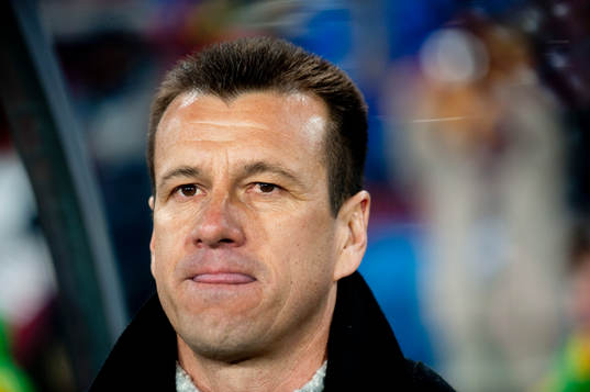 Dunga, Förbundskapten, Brasilien