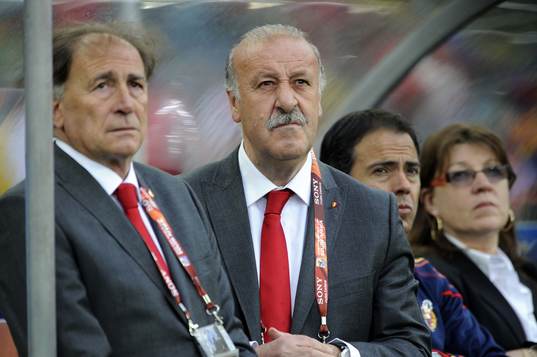 Vicente Del Bosque, förbundskapten, Spanien