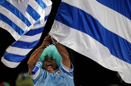Fan, supporter, flagga