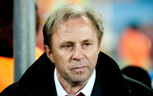 Milovan Rajevac, förbundskapten