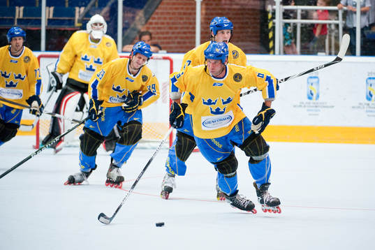 Jonas Bergman, Sverige hämtar puck