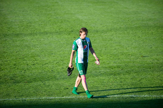 Linus Hallenius, Hammarby, lämnar planen