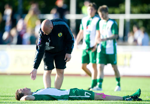 Linus Hallenius, Hammarby