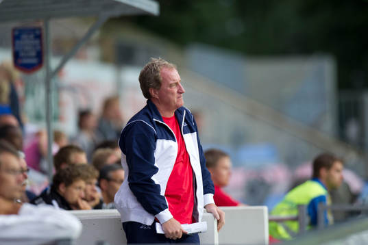 Ray Lewington, Tränare Fulham