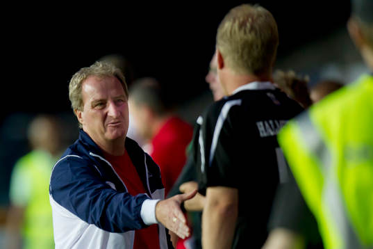 Ray Lewington, Tränare Fulham