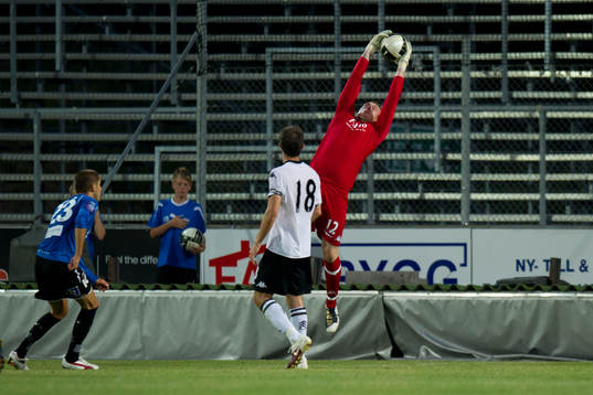 David Stockdale, Aaron Hughes, Fulham, Pehr Andersson,