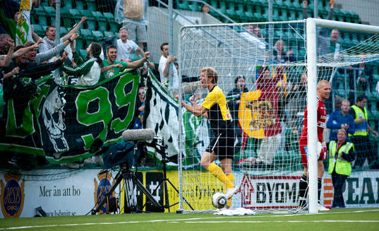 Tobias Holmqvist, Hammarby jubel