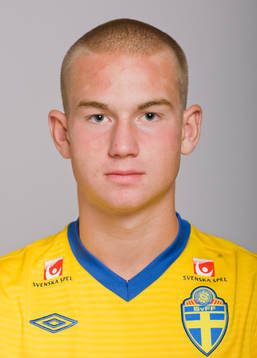 Sebastian Hedlund, Sverige