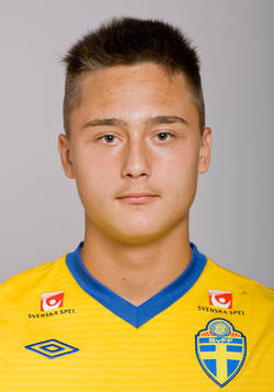 Haris Nezirevic, Sverige