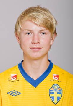 Hannes Ahlqvist, Sverige