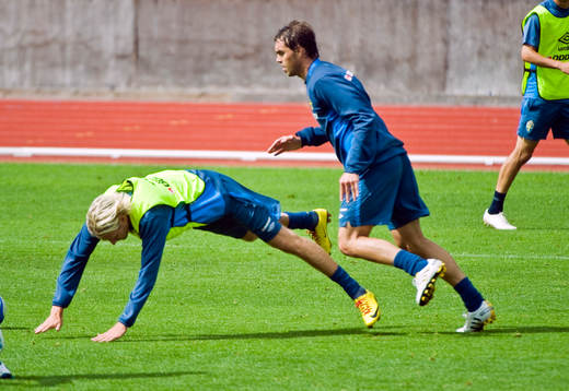 Ola Toivonen och Johan Elmander, Sverige