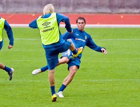 Johan Elmander, Sverige