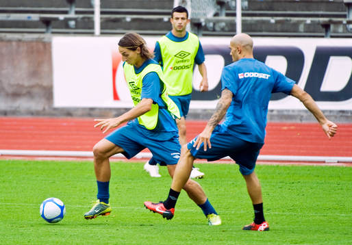 Zlatan Ibrahimovic och Daniel Majstorovic, Sverige