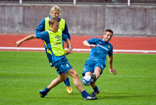 Pontus Wernbloom, Ola Toivonen och Anders Svensson, Sverige