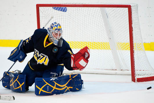 Daniel Larsson, målvakt HV71