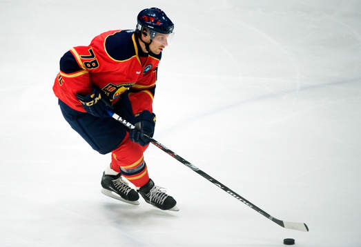 Josef Boumedienne