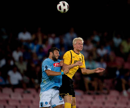 Johan Larsson, IF Elfsborg, Andrea Dossena, Napoli