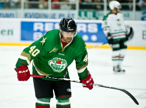 Henrik Zetterberg, All star SWE Pro