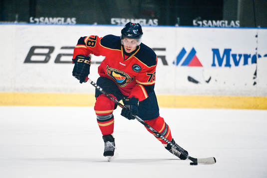 Josef Boumedienne