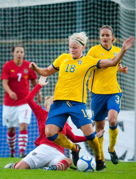 Nilla Fischer, Sverige