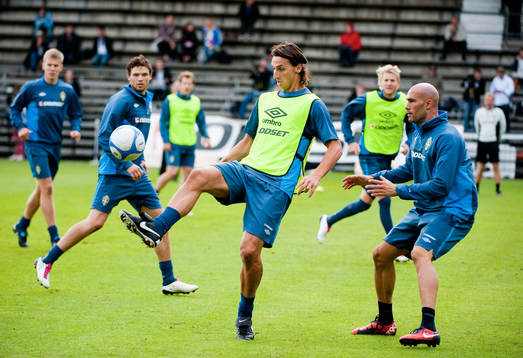 Zlatan Ibrahimovic och Daniel Majstorovic