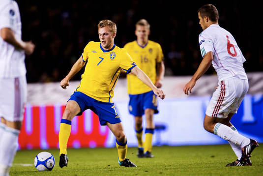 Sebastian Larsson, Sverige