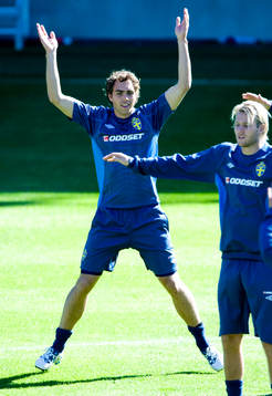 Johan Elmander