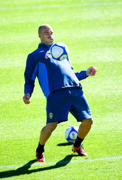 Daniel Majstorovic, Sverige