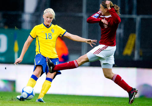 Nilla Fischer, Sverige
