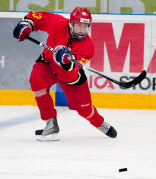 Victor Crus Rydberg, Småland
