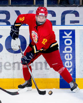 Marcus Näslund, Småland