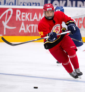 Albin Zakariasson, Småland